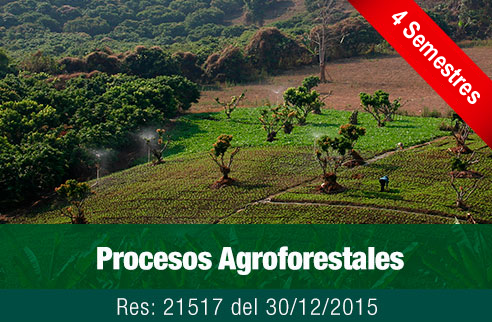 Botón Icono para entrar a la información del programa Procesos Agroforestales